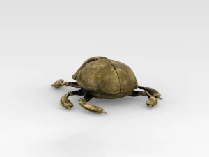 Golden Scarab 3D Model