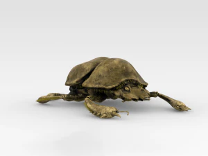 Golden Scarab 3D Model