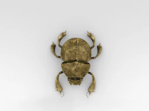 Golden Scarab 3D Model