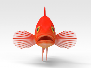 Gold fish Modèle 3D