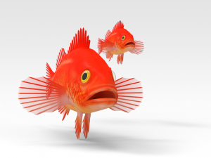 Gold fish Modèle 3D