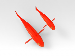 Gold fish Modèle 3D