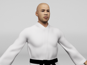 Karate Fighter 3D मॉडल