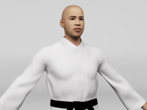 Karate Fighter 3D Model