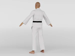 Karate Fighter 3D Model