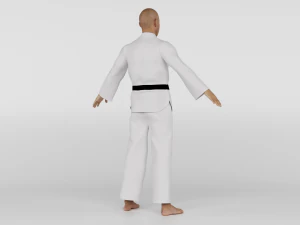Karate Fighter 3D Model