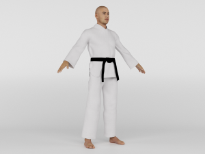 Karate Fighter 3D मॉडल
