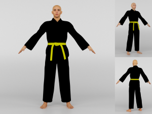 Karate Fighter 3D Model