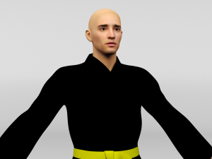 Karate Fighter 3D Model