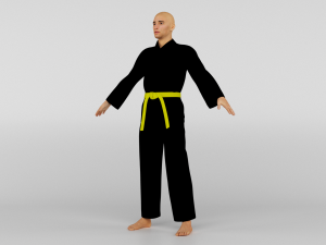 Karate Fighter 3D Model