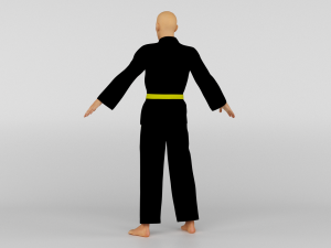 Karate Fighter 3D Model