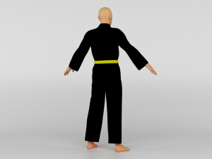 Karate Fighter 3D Model