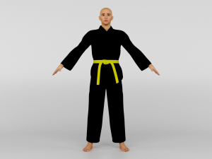 Karate Fighter 3D Model