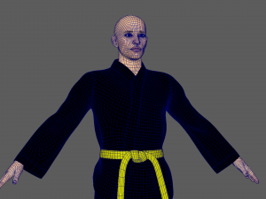Karate Fighter 3D Model