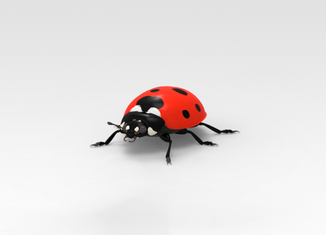 Ladybug 3D मॉडल .c4d .max .obj .3ds .fbx .stl .blend 
