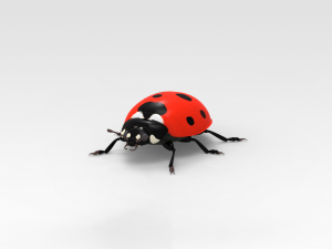 Фото по запросу 3d модели насекомых