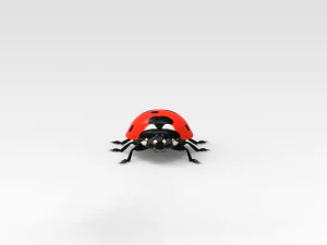 Ladybug 3D Model