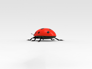 Ladybug 3D मॉडल