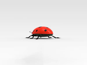 Ladybug 3D Model