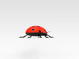 Ladybug 3D Model