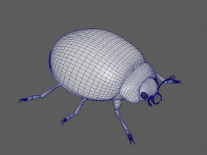 Ladybug 3D Model