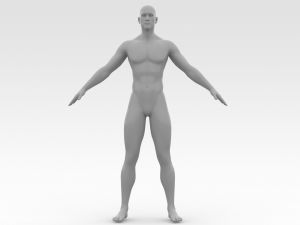 Male Basemesh Modelo 3D