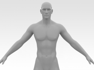Male Basemesh Modelo 3D