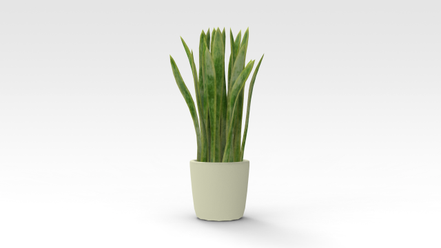 Pot Plant 3D Модель .c4d .max .obj .3ds .fbx .stl .blend 