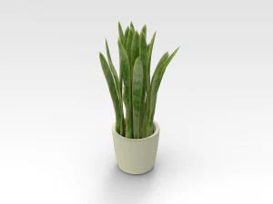 Pot Plant 3D Model