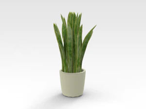 Pot Plant 3D Model