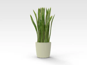 Pot Plant 3D Model