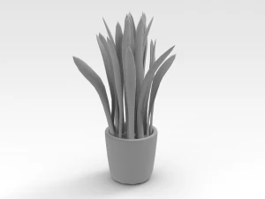 Pot Plant 3D Model