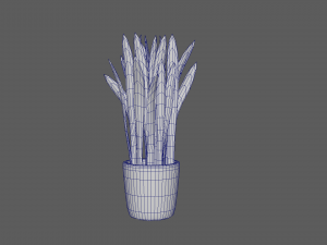 Pot Plant 3D Модель