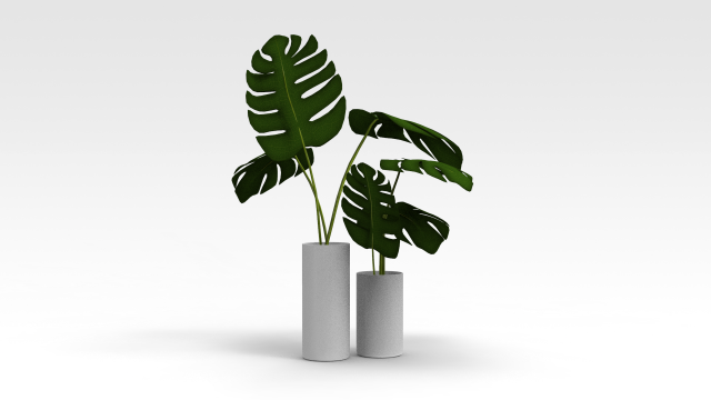 Pot Plant 3D Модель .c4d .max .obj .3ds .fbx .stl .blend 