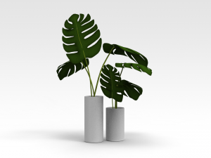 Pot Plant Model 3D