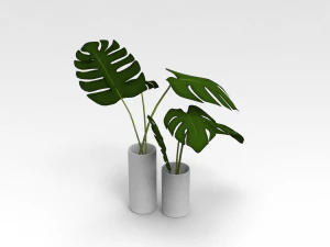 Pot Plant 3D Model