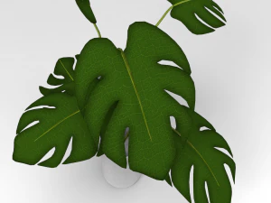 Pot Plant 3D Model
