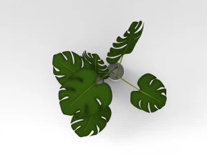 Pot Plant 3D Model