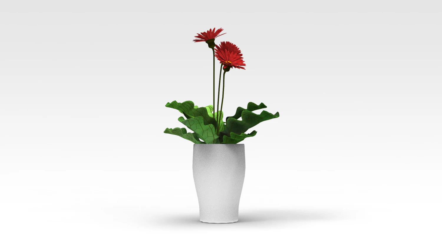 Pot Plant 3D Model .c4d .max .obj .3ds .fbx .stl .blend