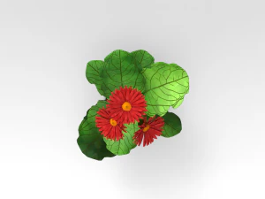 Pot Plant 3D Model