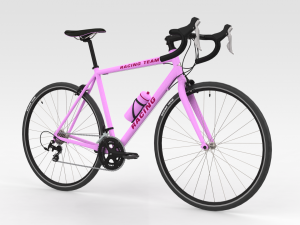 Racing Bicycle 3D Model