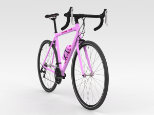 Racing Bicycle 3D Model