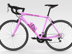 Racing Bicycle 3D Model