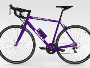 Racing Bicycle 3D Model