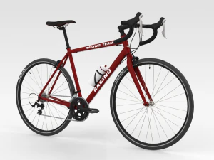 Bicicletta da corsa Modello 3D