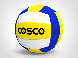 Volleyball 3D Model