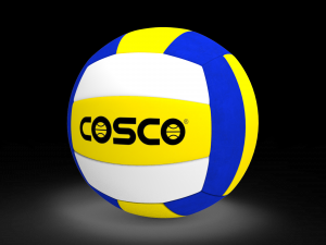 Volleyball 3D Model