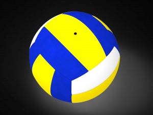 Volleyball 3D Model