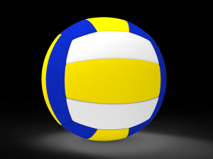 Volleyball 3D Model