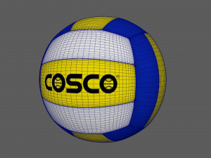 Volleyball 3D Model